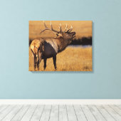 Toile Roosevelt Eull Elk Wyoming (Insitu (Plancher de Bois))