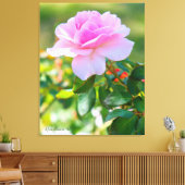 Toile Rosa Bonica '82 (Insitu(Salon))