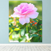 Toile Rosa Bonica '82 (Insitu (Plancher de Bois))