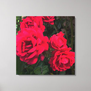 Toile Rosarium de Red Roses