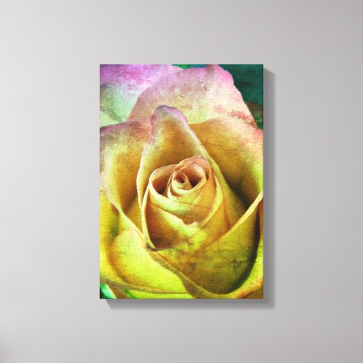 Toile rose (Recto)