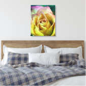 Toile rose (Insitu(Chambre))