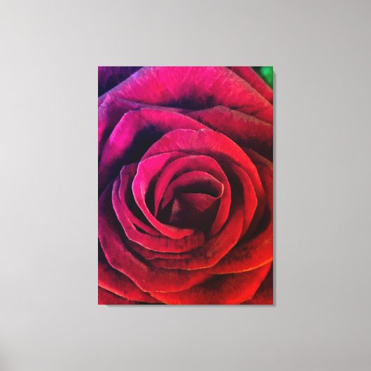 Toile Rose (Recto)
