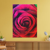 Toile Rose (Insitu(Salon))
