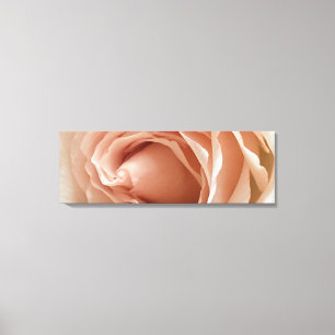 Toile Rose