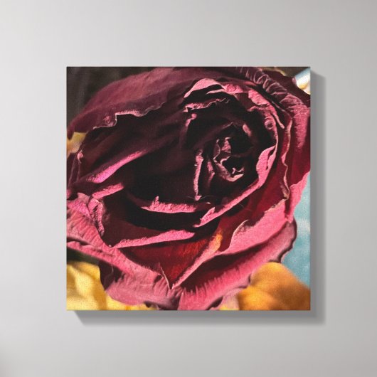 Toile rose (Recto)