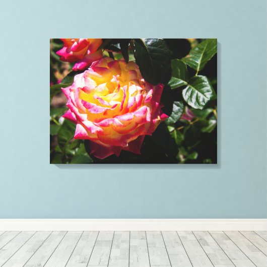 Toile Rose à Sunlight (Insitu (Plancher de Bois))