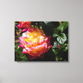 Toile Rose à Sunlight (Recto)