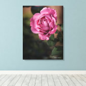 Toile Rose Angel Face (Insitu (Plancher de Bois))