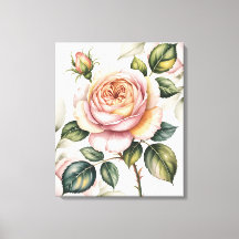 Rose anglaise à l'aquarelle
