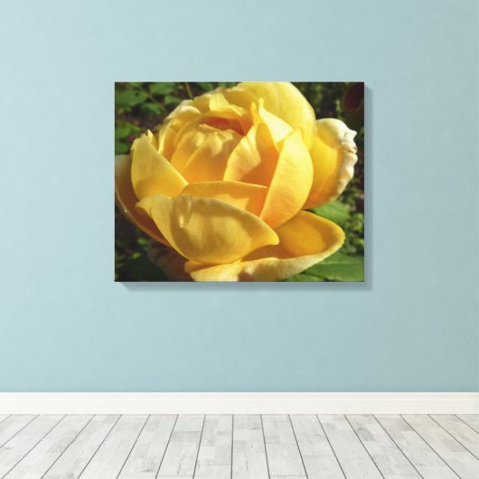 Toile Rose anglaise jaune (Insitu (Plancher de Bois))