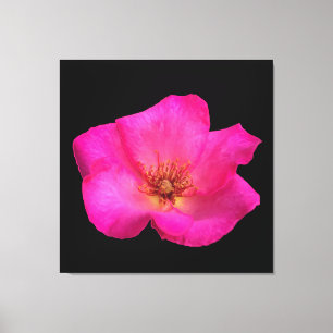 Toile Rose au stylo-feutre
