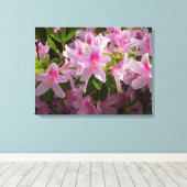 Toile Rose Azalea Bush printemps floral (Insitu (Plancher de Bois))
