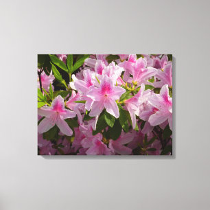 Toile Rose Azalea Bush printemps floral