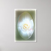 Toile Rose blanche (Recto)