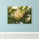 Toile Rose blanche (Insitu (Plancher de Bois))