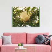 Toile Rose blanche (Insitu(Salon))