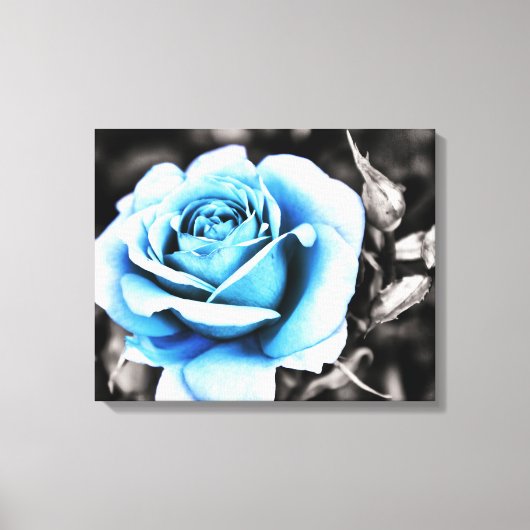 Toile rose bleue (Recto)