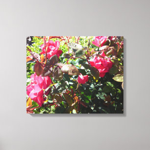 Toile Rose Bush