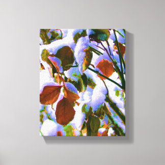 Toile Rose Bush surprise