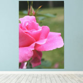 Toile Rose de jardin rose Fuschia (Insitu (Plancher de Bois))