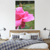 Toile Rose de jardin rose Fuschia (Insitu(Chambre))
