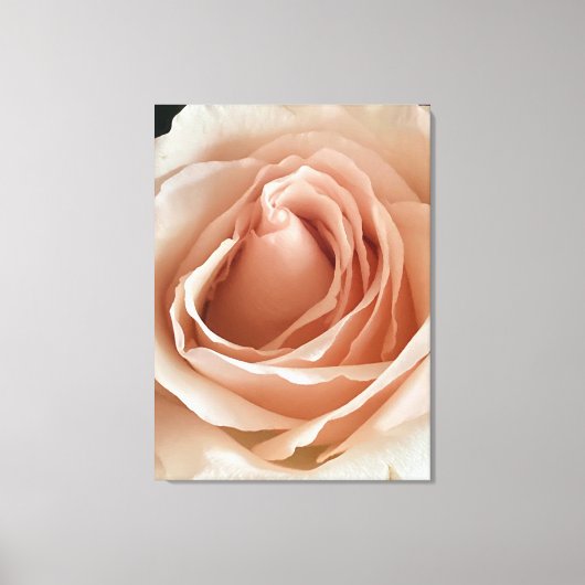 Toile Rose de plage (Recto)