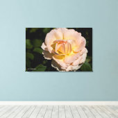 Toile Rose de thé (Insitu (Plancher de Bois))