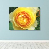 Toile rose et rosebud (Insitu (Plancher de Bois))