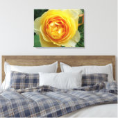 Toile rose et rosebud (Insitu(Chambre))
