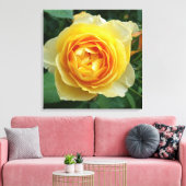 Toile rose et rosebud (Insitu(Salon))