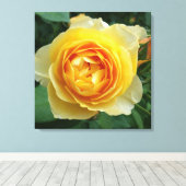 Toile rose et rosebud (Insitu (Plancher de Bois))