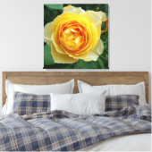 Toile rose et rosebud (Insitu(Chambre))