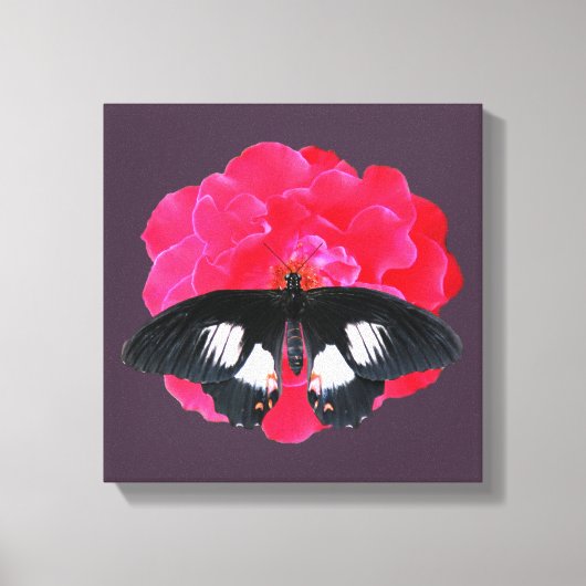 Toile Rose et Swallowtail (Recto)
