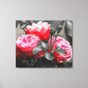 Toile Rose Fleur : Rose Color Pop