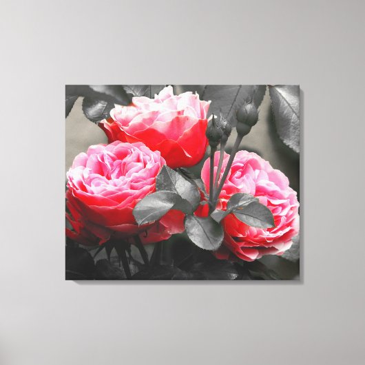 Toile Rose Fleur : Rose Color Pop (Recto)