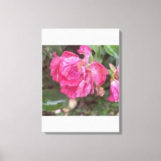 Toile Rose Florale Imprimée grreyforaday (Recto)