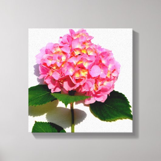 Toile Rose Hydrangea rose fleur rose rose floral (Recto)