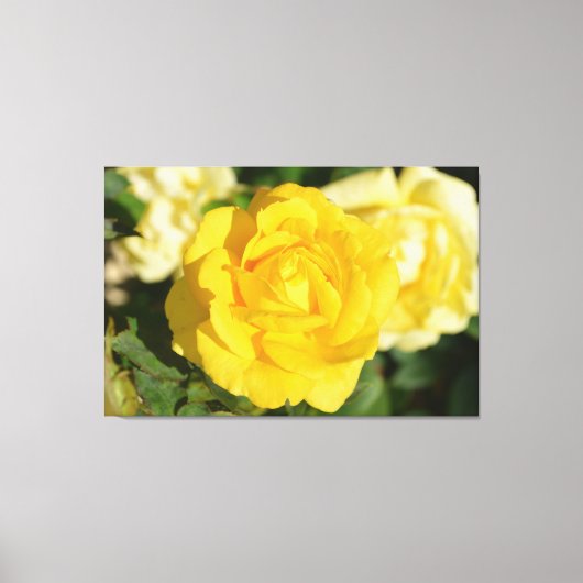 Toile Rose jaune (Recto)