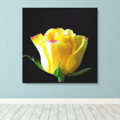 Toile Rose jaune (Insitu (Plancher de Bois))