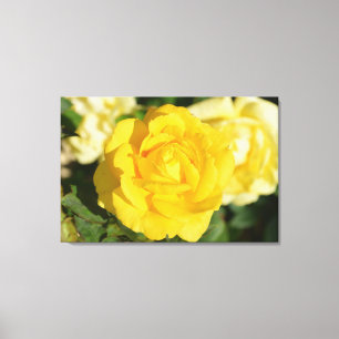 Toile Rose jaune