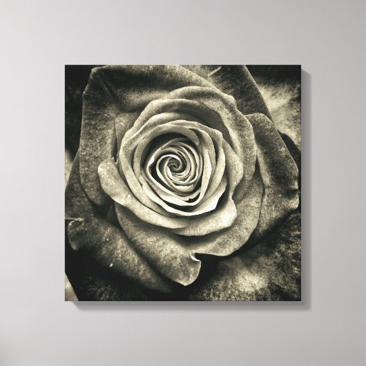 Toile Rose noir et blanc (Recto)