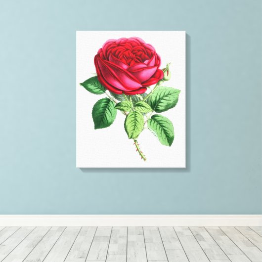 Toile Rose permanent hybride - Napoléon III (Insitu (Plancher de Bois))