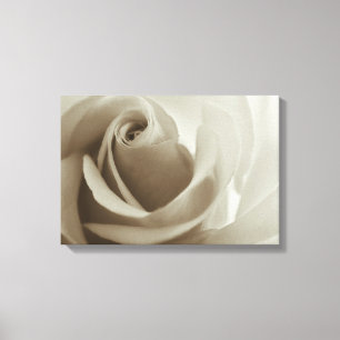 Toile Rose romantique Sepia Flower