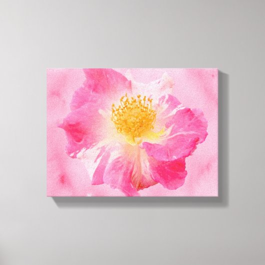 Toile Rose rose (Recto)