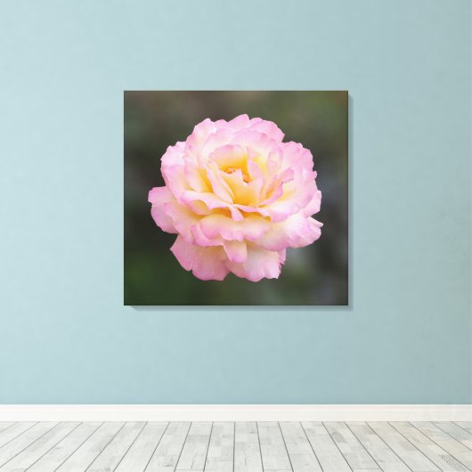 Toile rose rose (Insitu (Plancher de Bois))