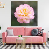 Toile rose rose (Insitu(Salon))