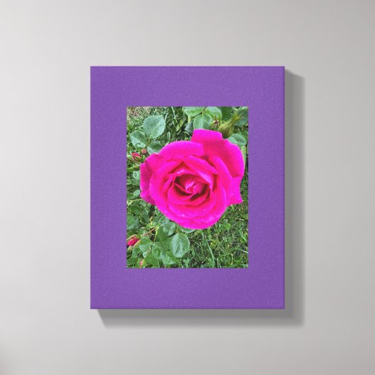 Toile Rose Rose #3 (Recto)