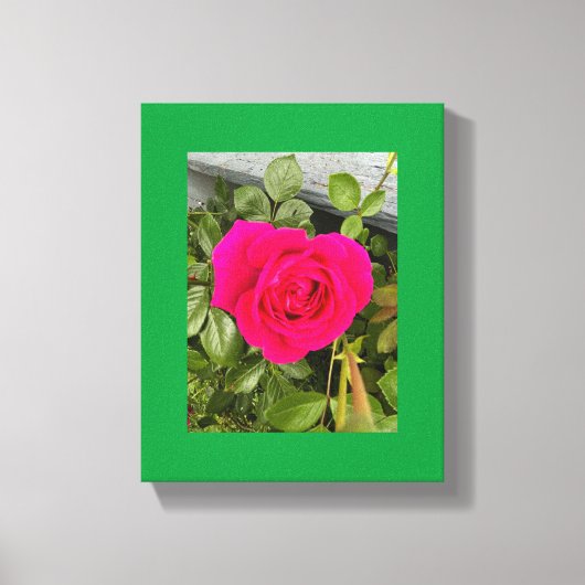 Toile Rose Rose #4 (Recto)