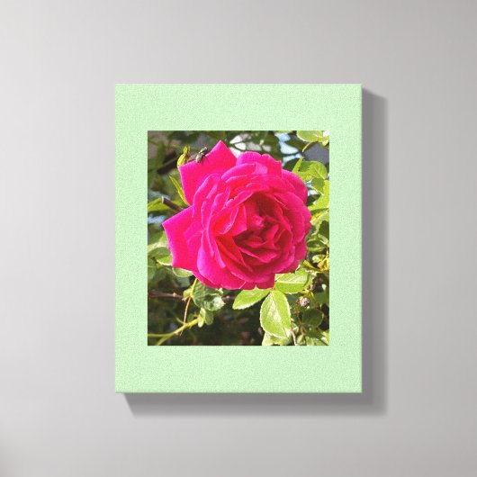 Toile Rose rose et une mouche (Recto)